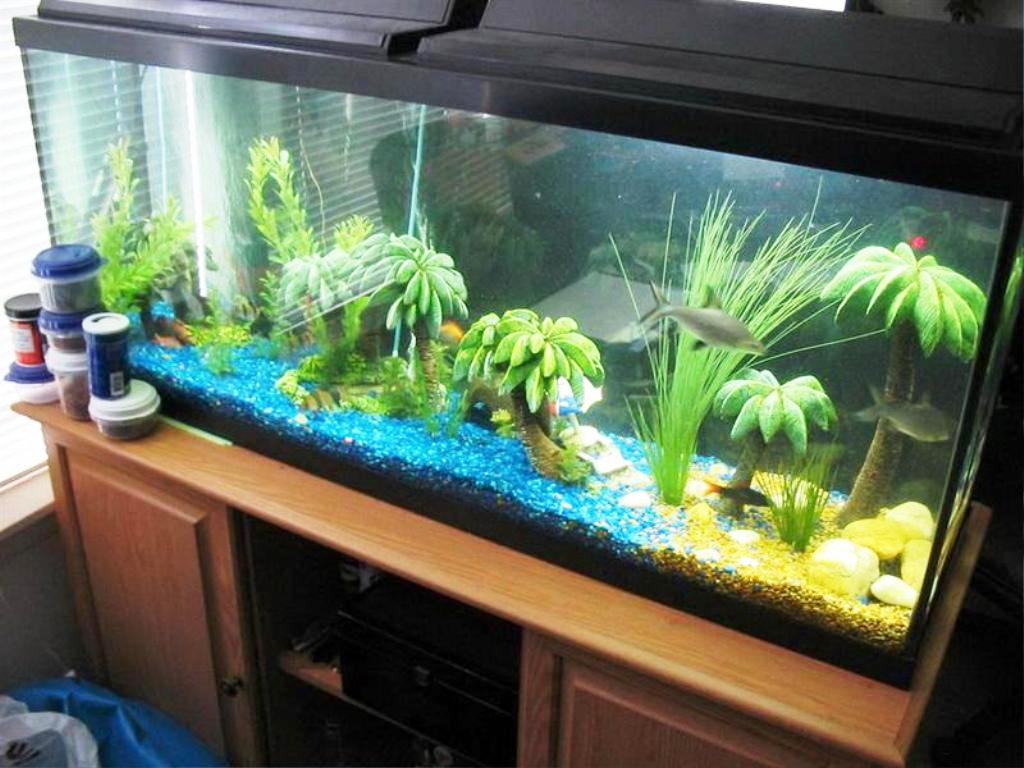 Best Diy Fish Tank Decoration 30 fish tank decorations ideas