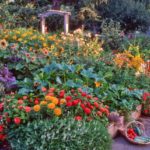 Edible Landscaping Plants as Aesthetic, Economic, and Functional Value