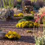 Desert Landscaping: Good Idea for Your Yard to Look More Attractive