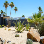 : desert art landscaping