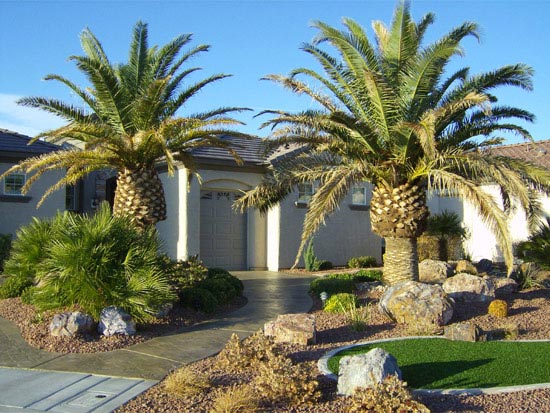 desert landscape backyard ideas for your home
