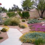 : desert landscape ideas for backyards