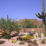 : desert landscaping and pools reviews 09059435