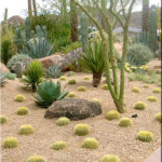 : desert landscaping company