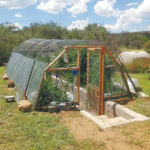: diy greenhouse cheap