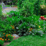 : edible landscaping association