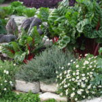 : edible landscaping business