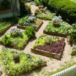 : edible landscaping florida