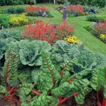 : edible landscaping reviews