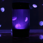 : jellyfish aquarium cubic