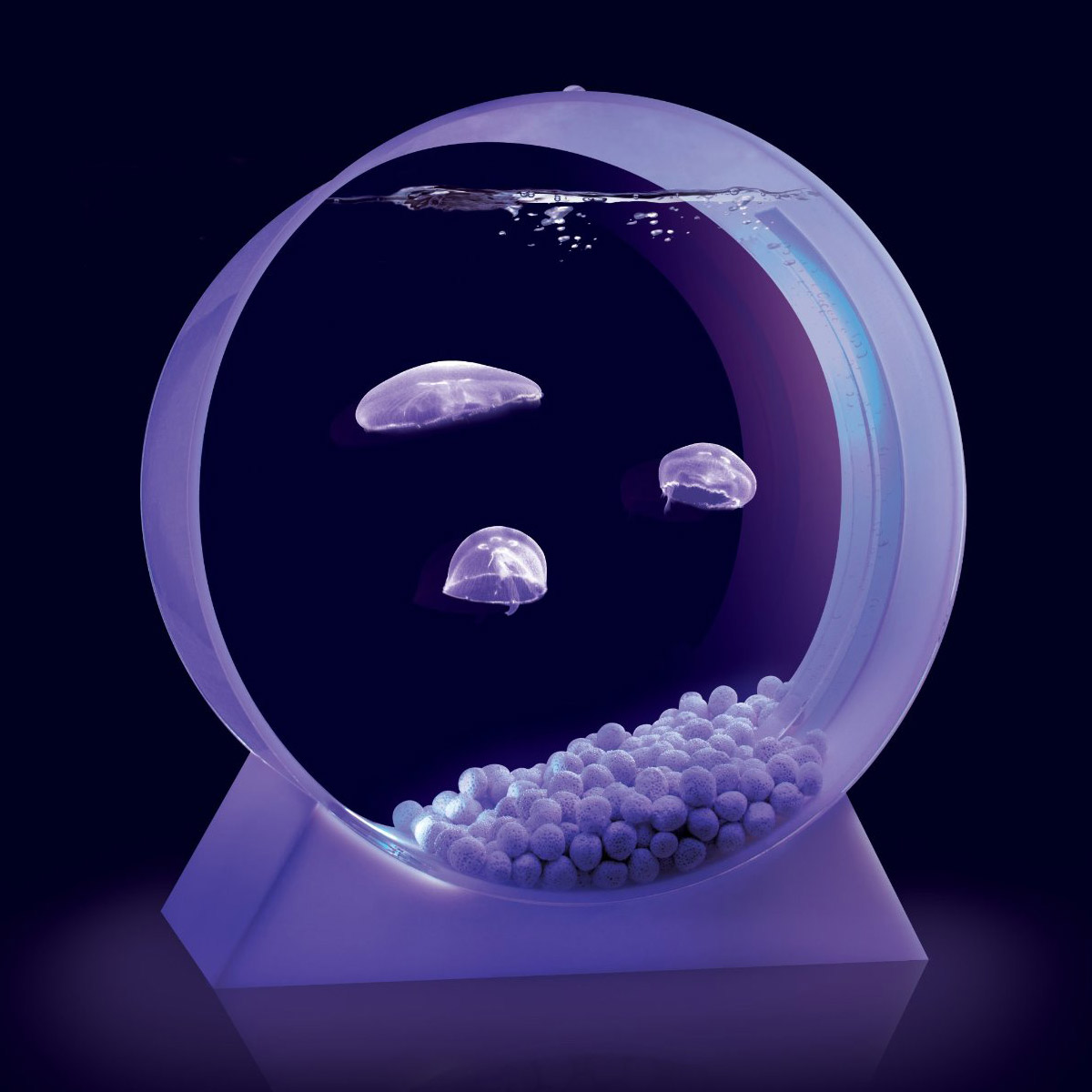 jellyfish aquarium kickstarter