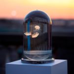 : jellyfish aquarium lamp