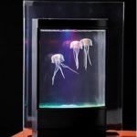 : jellyfish aquarium led