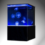 : jellyfish aquarium of the pacific