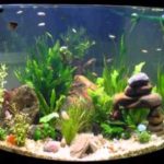 : modern Fish tank decorations