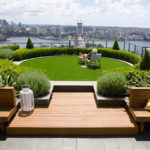 : plants for terrace garden