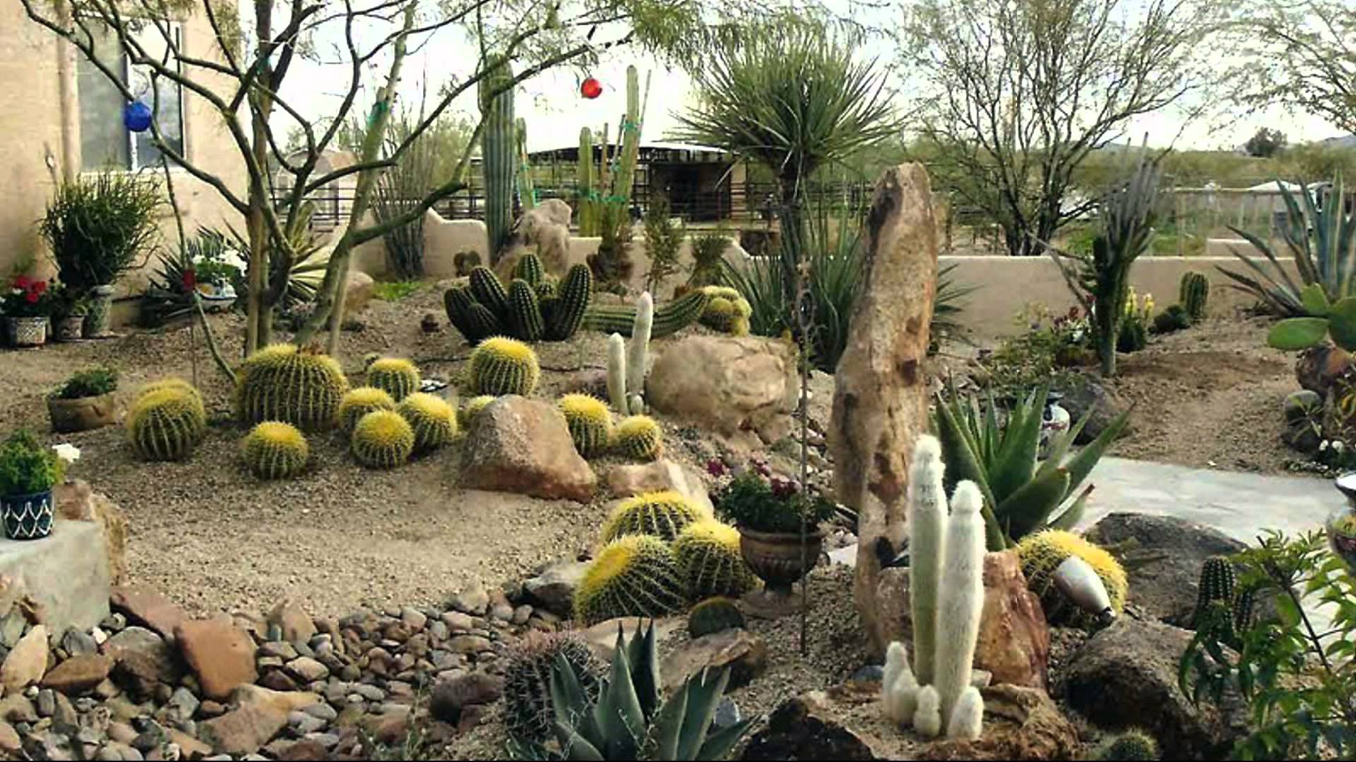 Desert Landscaping Design and Ideas to Decorate