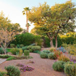 : desert landscaping designs