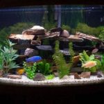 : fish tank decoration ideas cheap