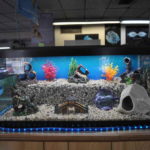 : fish tank ornaments ideas