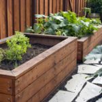 : wooden planter boxes for bamboo